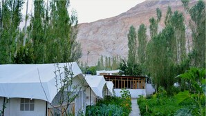 A series of white tents with a garden path leading to a wooden structure. - TIH Mystique Meadows Camp (Leh)