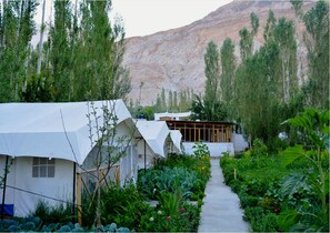Garden - TIH Mystique Meadows Camp (Leh)