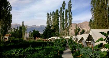 TIH Mystique Meadows Camp