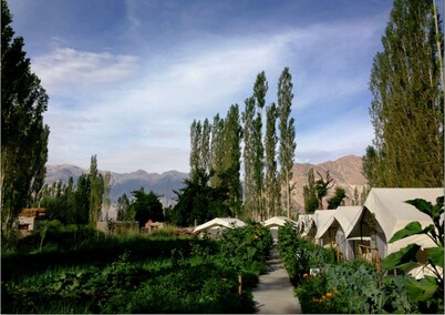 TIH Mystique Meadows Camp