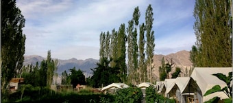 TIH Mystique Meadows Camp