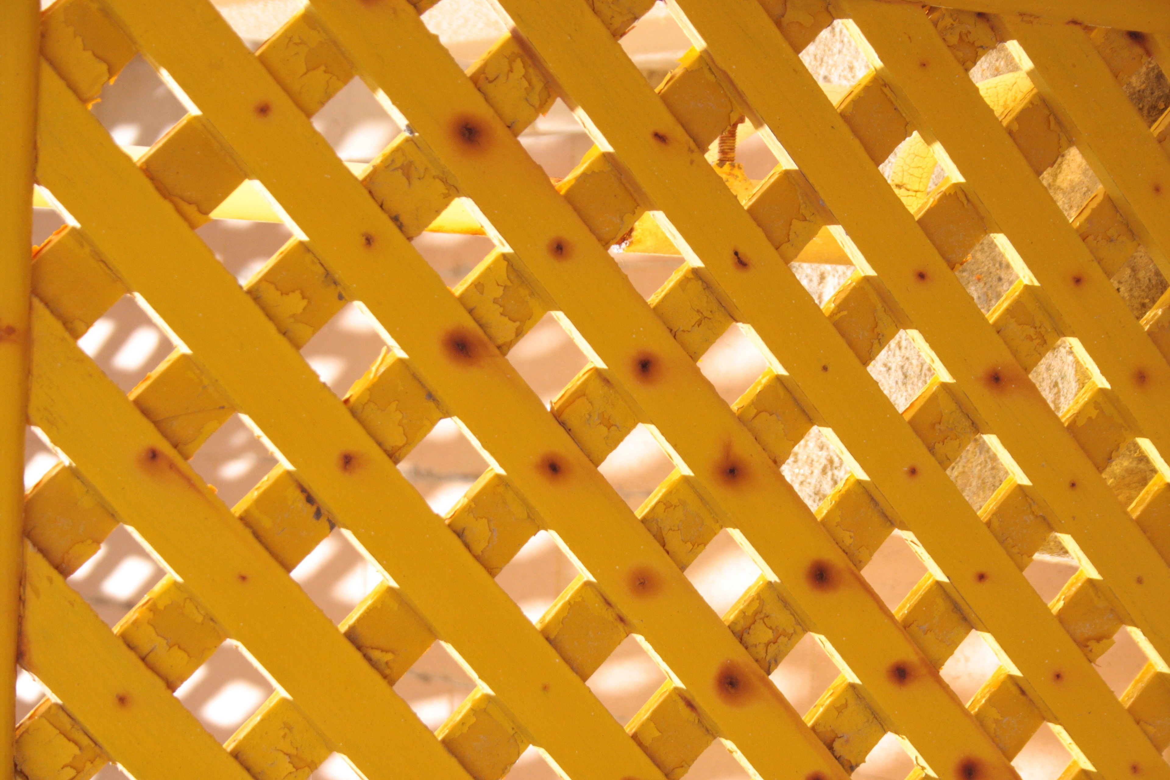 Photo - Hotel Ribamar