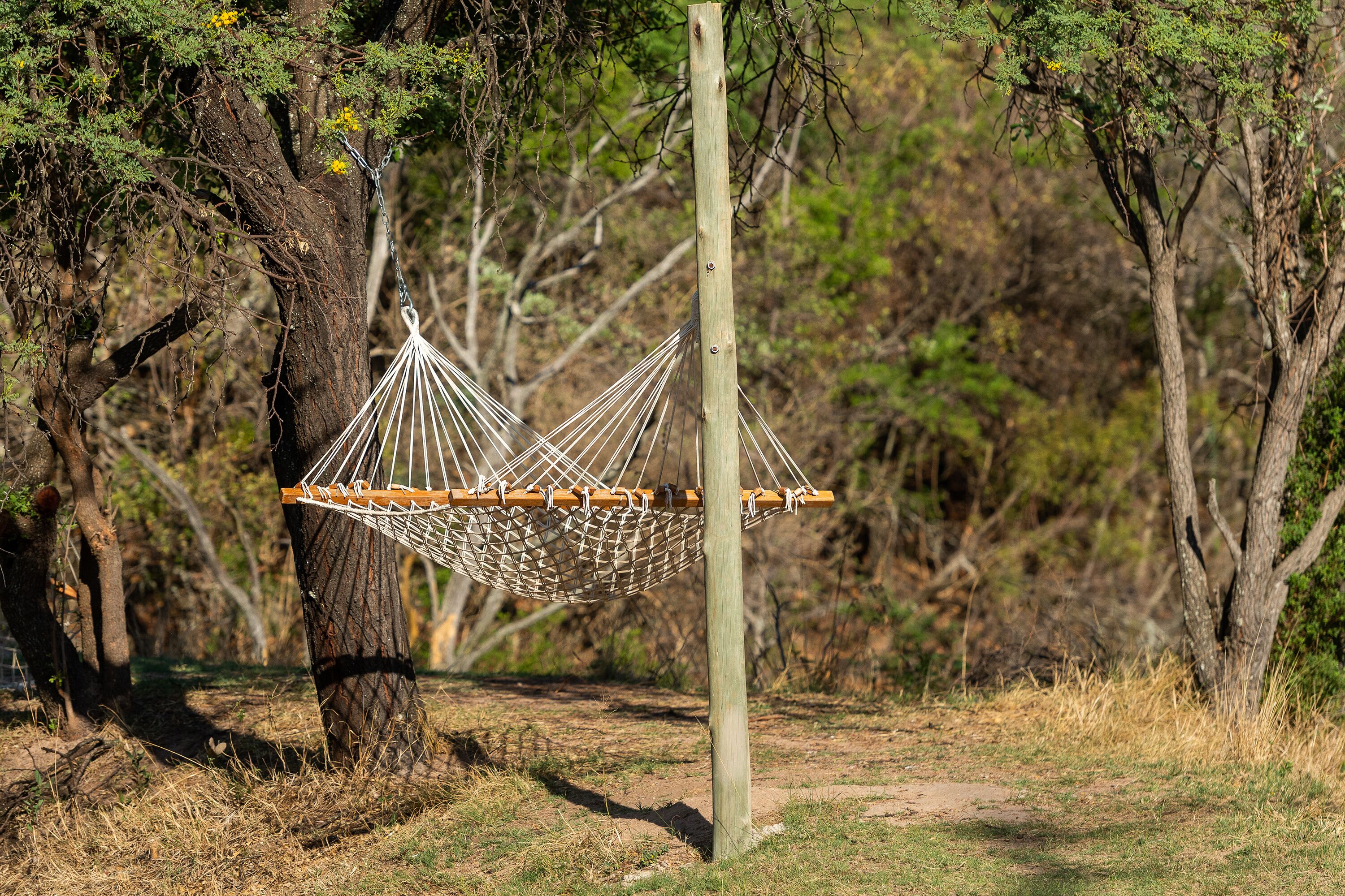 A hammock suspended between two trees in a natural setting.