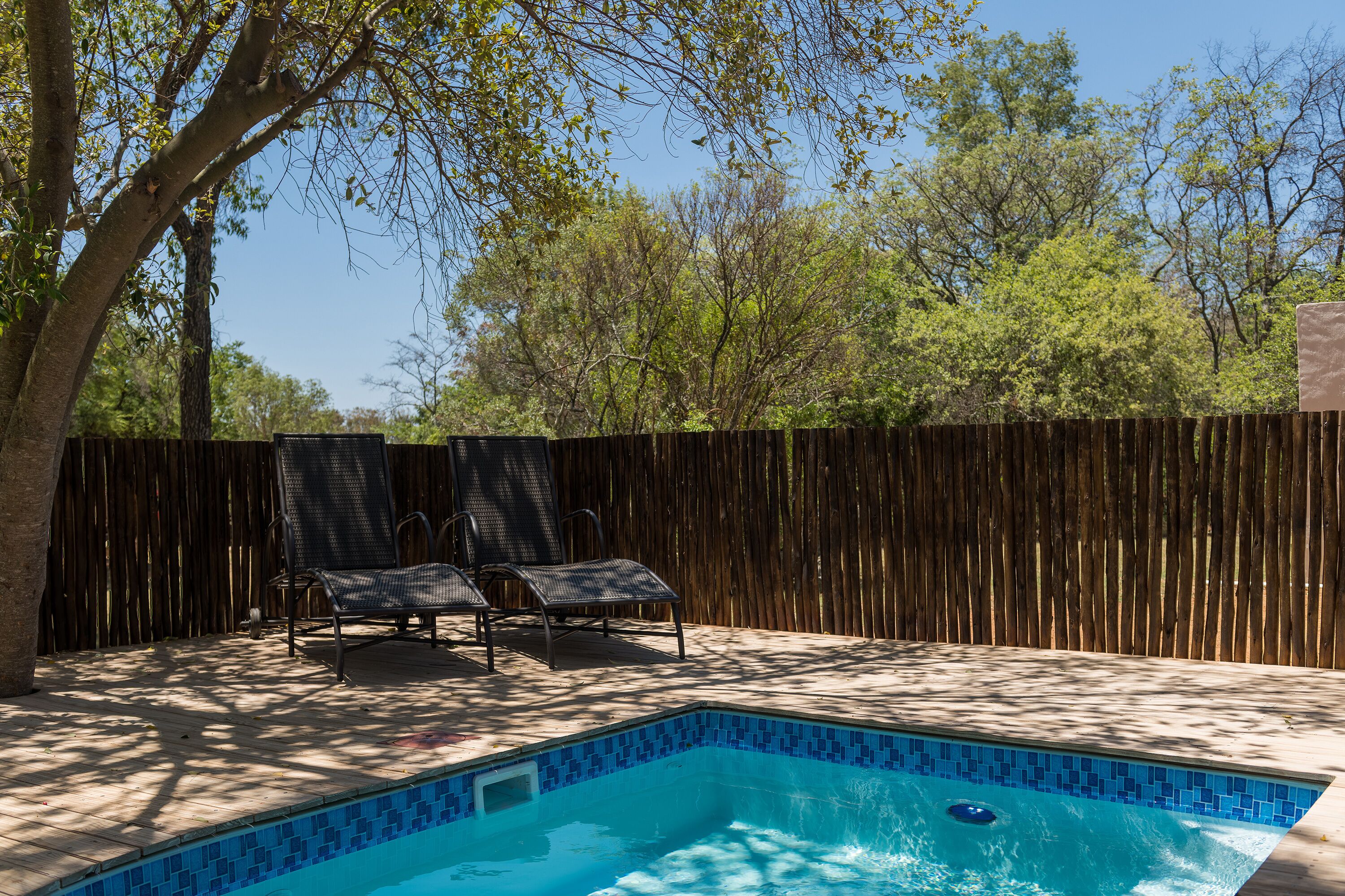 A rectangular swimming pool with blue tiles, surrounded by a wooden deck and a wooden fence.
