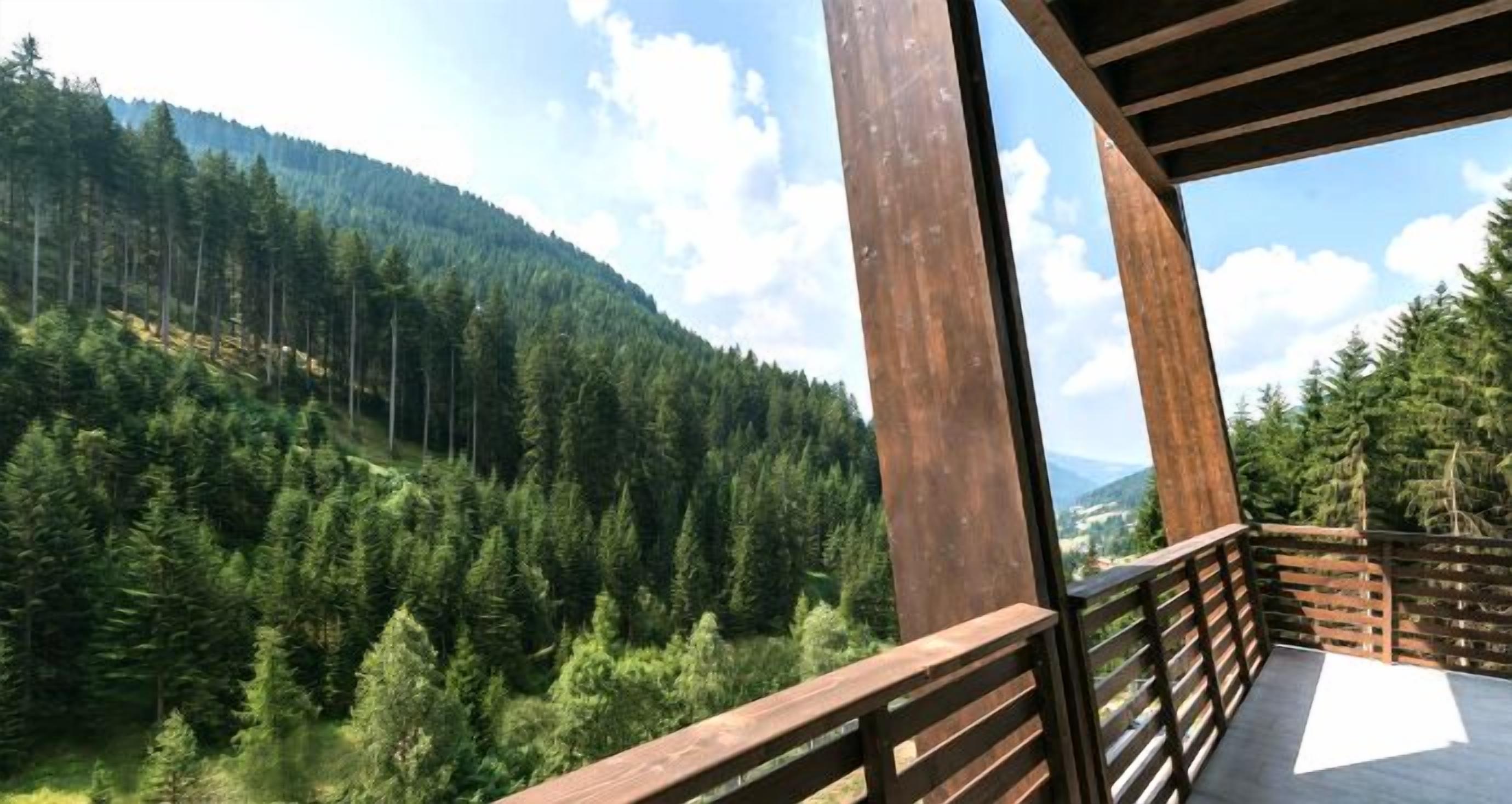 junior suite | terrace/patio