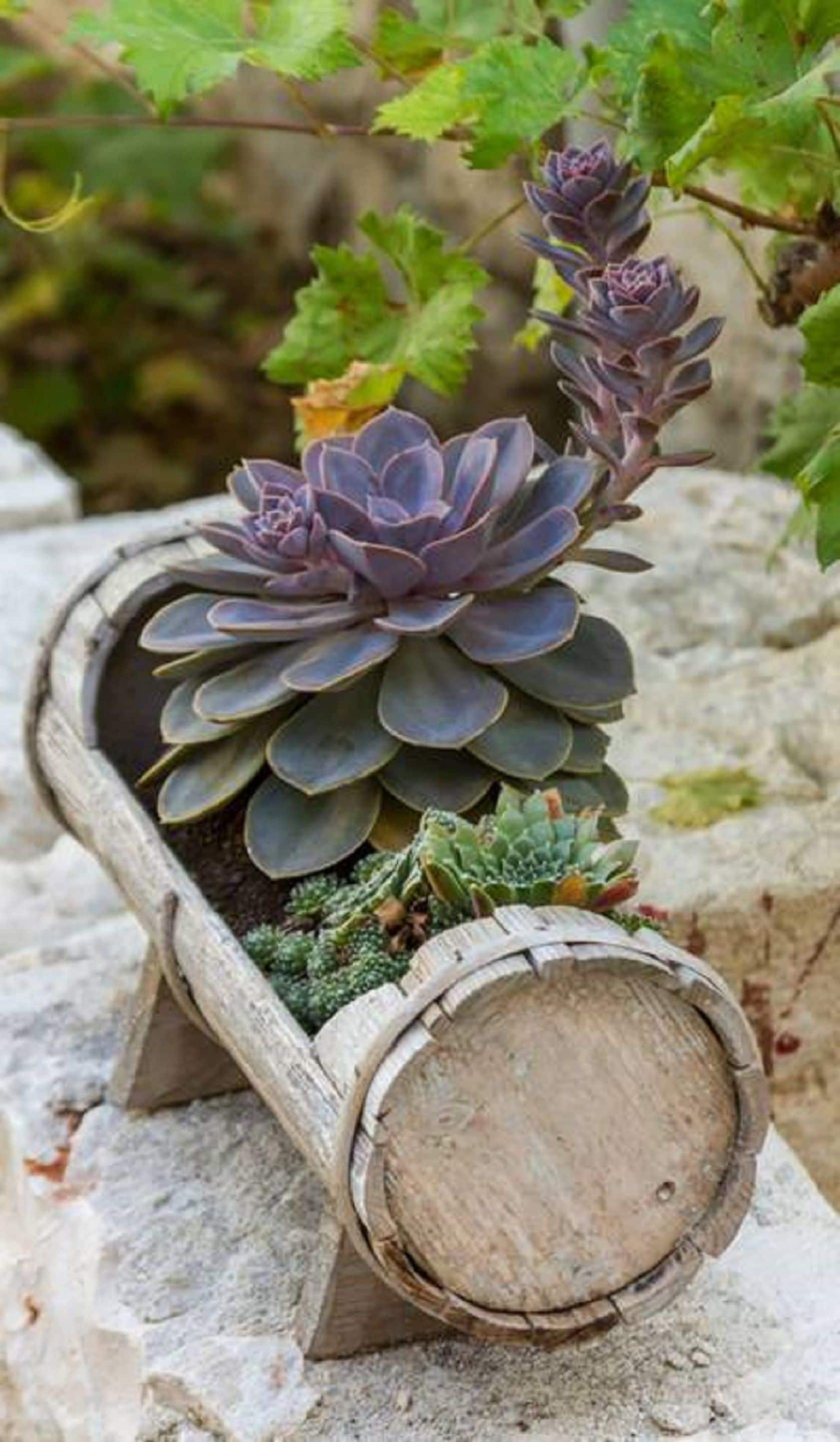 Foto - Peruzovic Rooms 2