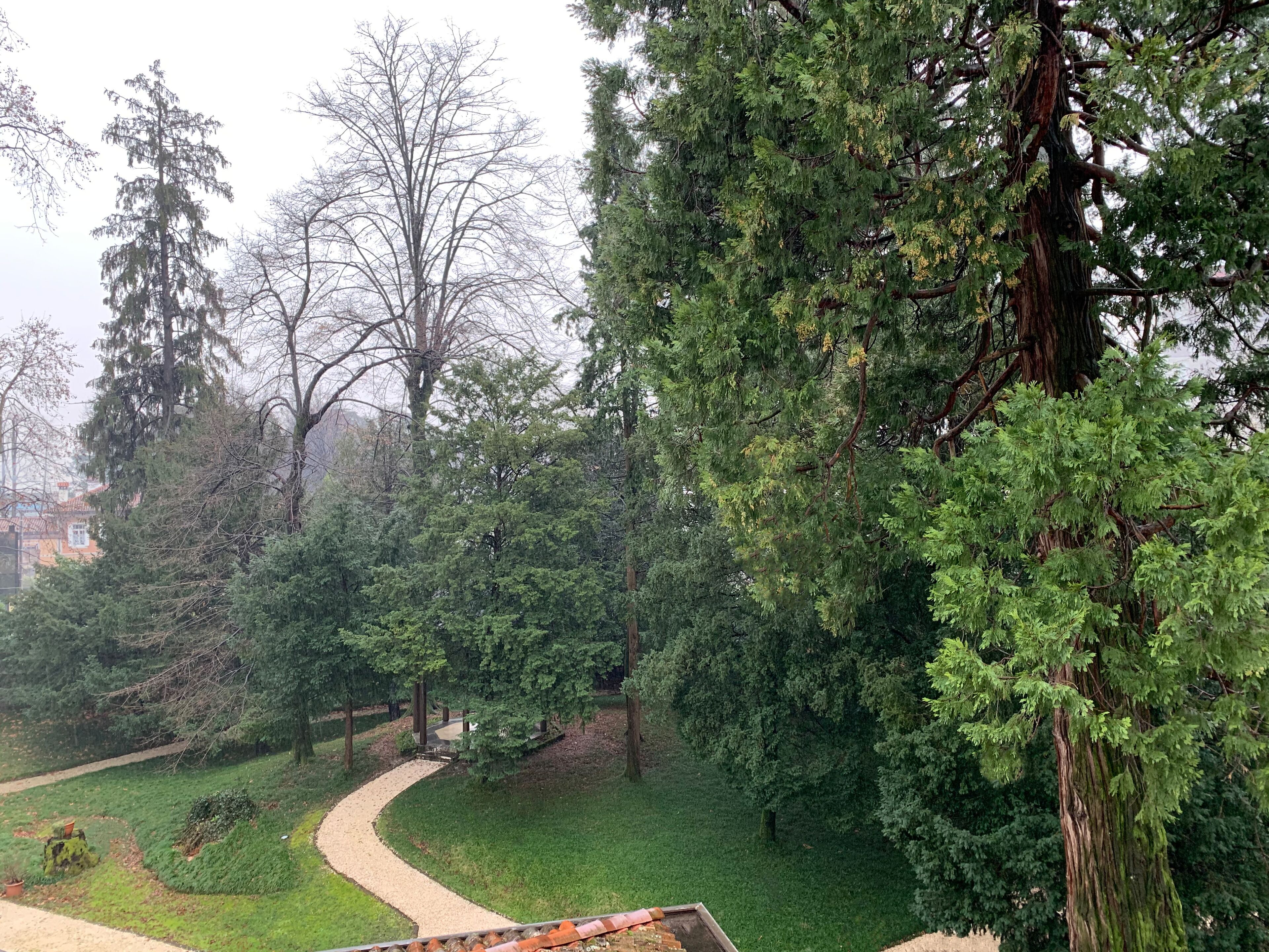 superior double room, 1 double bed | premium bedding, minibar, in-room safe, desk