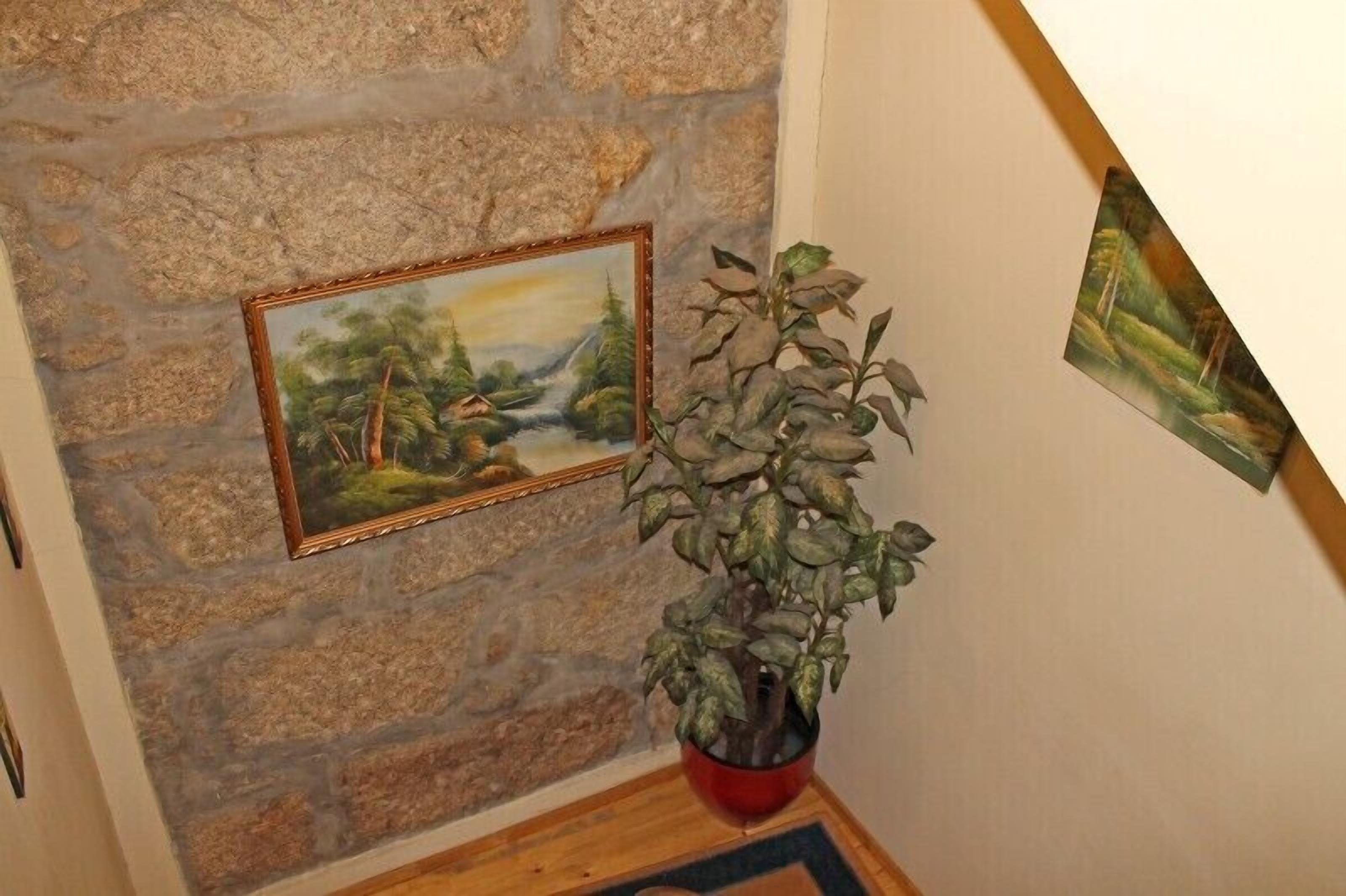 Photo - Guest House Estrela