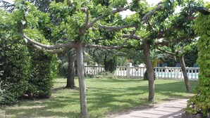 Garden - Hôtel du Soleil Bleu (Istres)