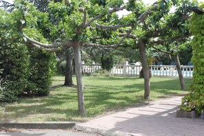 Jardín
