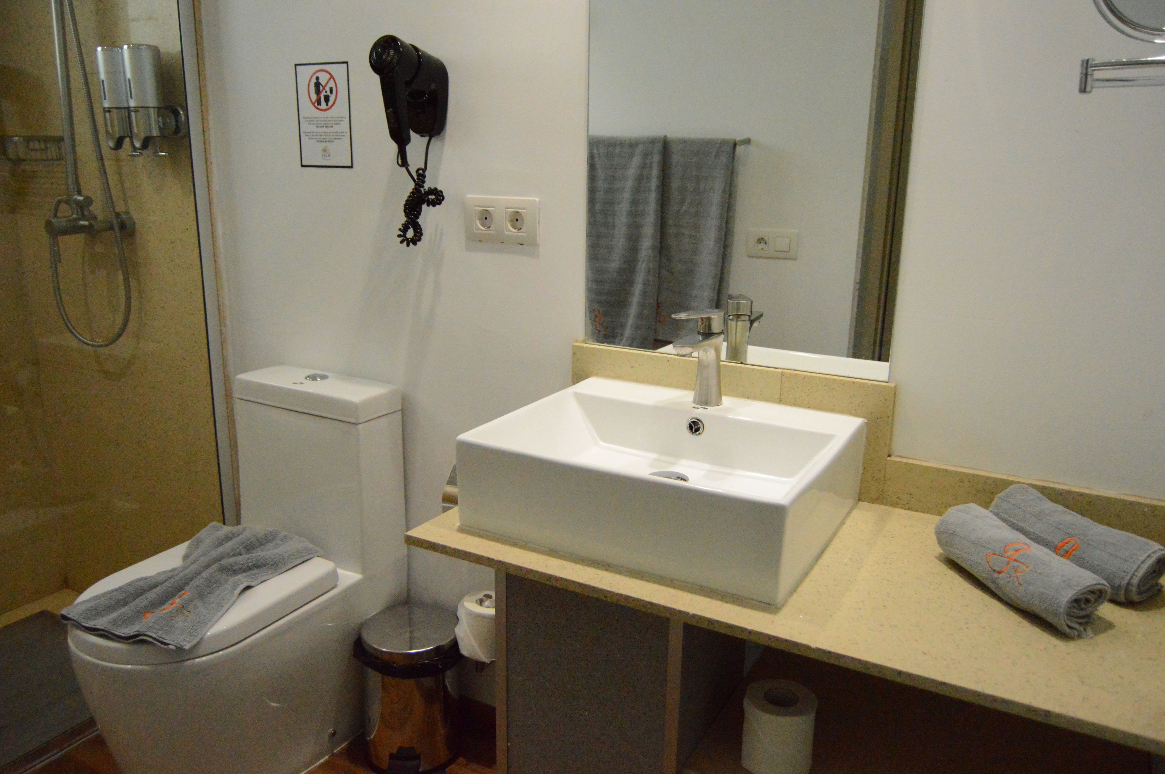 Ein Badezimmer mit Waschbecken, Spiegel, Handtuchhalter, Dusche und Toilette.