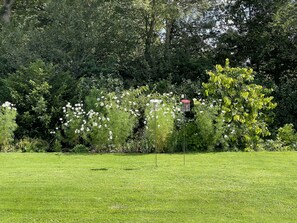 Garden - White Lodge B&B (Lewes)