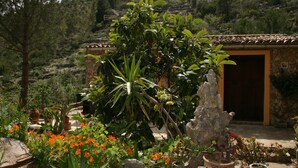 Property grounds - Can Bernat Casetes (Selva)