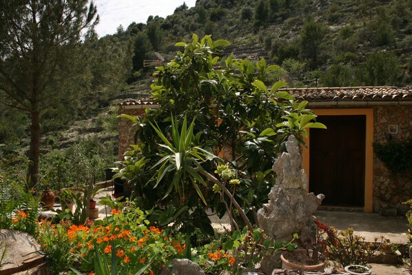 Property grounds - Can Bernat Casetes (Selva)