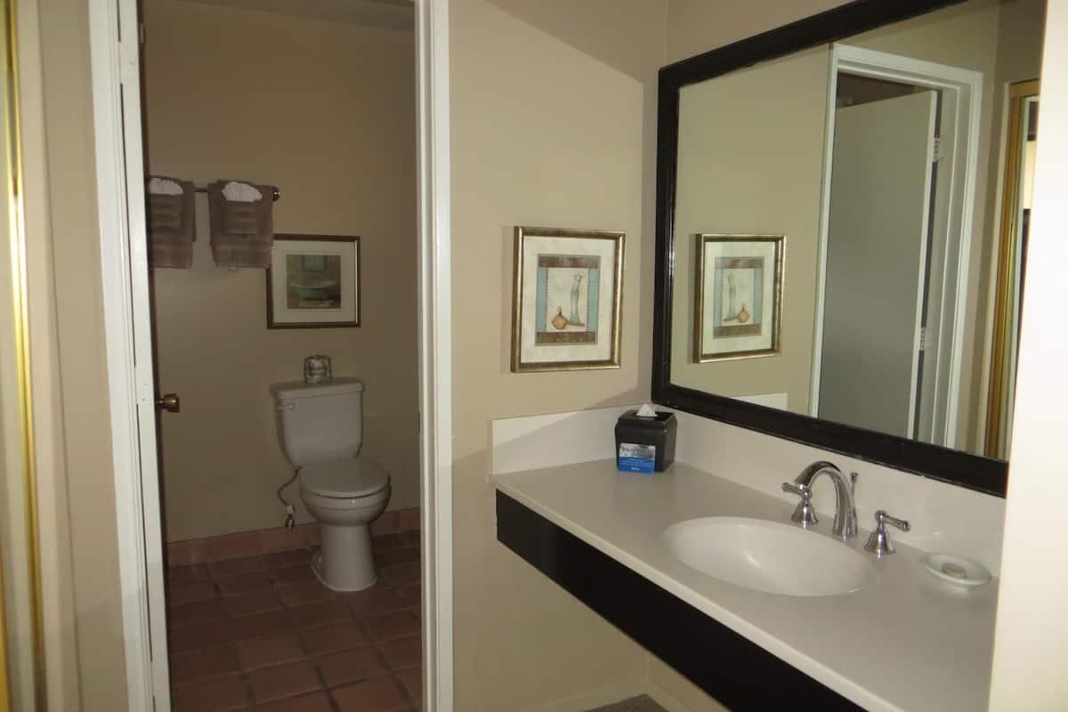 combined shower/bathtub, free toiletries, hair dryer, bathrobes