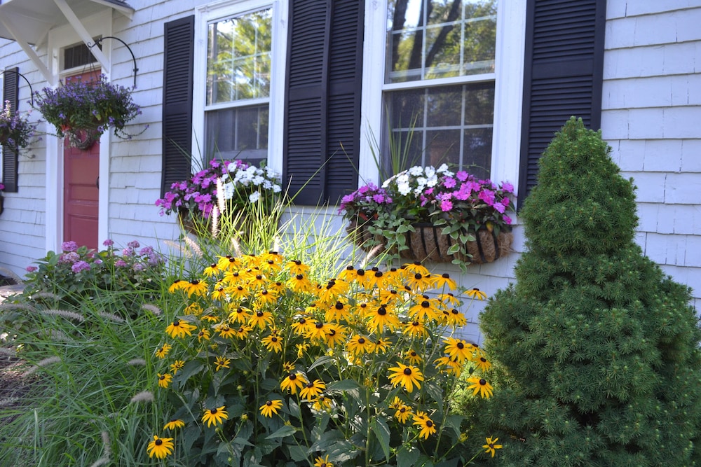 Parsonage Inn by null