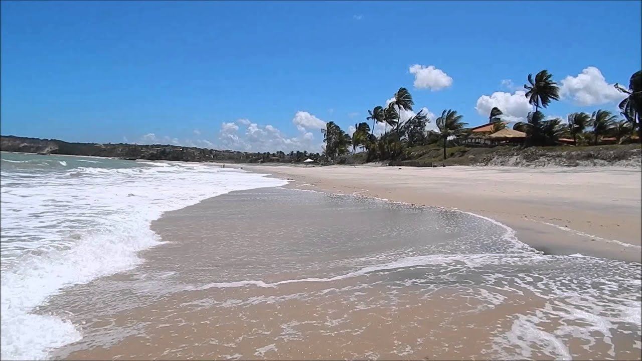 A beach with waves, palm trees, and a building with a red roof.
