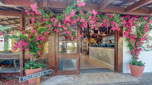 A reception area with a wooden facade, a sign reading "RECEPCAO", and pink flowering plants.