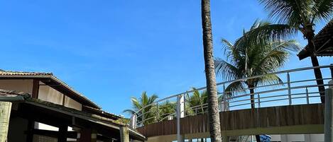 A hammock set up between palm trees in a sunny outdoor area with a building in the background.