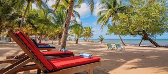 Buttonwood Belize