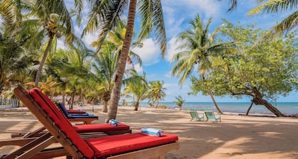 Buttonwood Belize