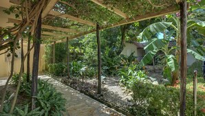 A covered garden area with stone pathways, various plants, and a wooden pergola structure. - Buttonwood Belize (Hopkins)