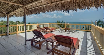 Buttonwood Belize