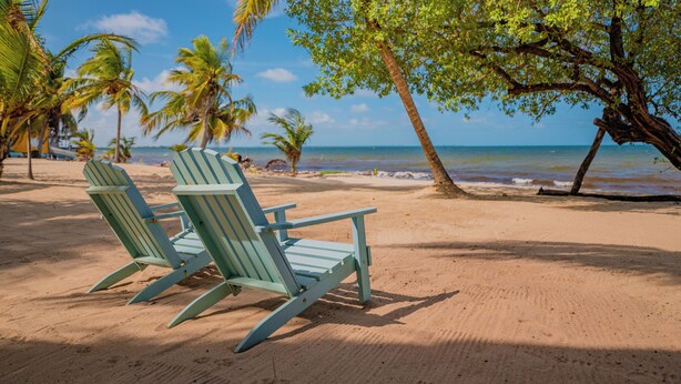 A beach with two Adirondack chairs, palm trees, and a clear view of the ocean. - Buttonwood Belize (Hopkins)
