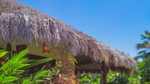 Bangalo Casa Inge | Quang cảnh vườn