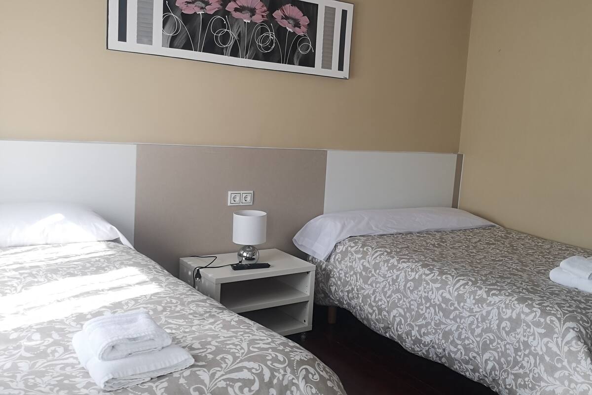 A hotel room with two beds, each with a patterned bedspread and a folded towel on the bed. There is a nightstand with a lamp and a power outlet between the beds. A framed picture hangs on the wall above the beds.