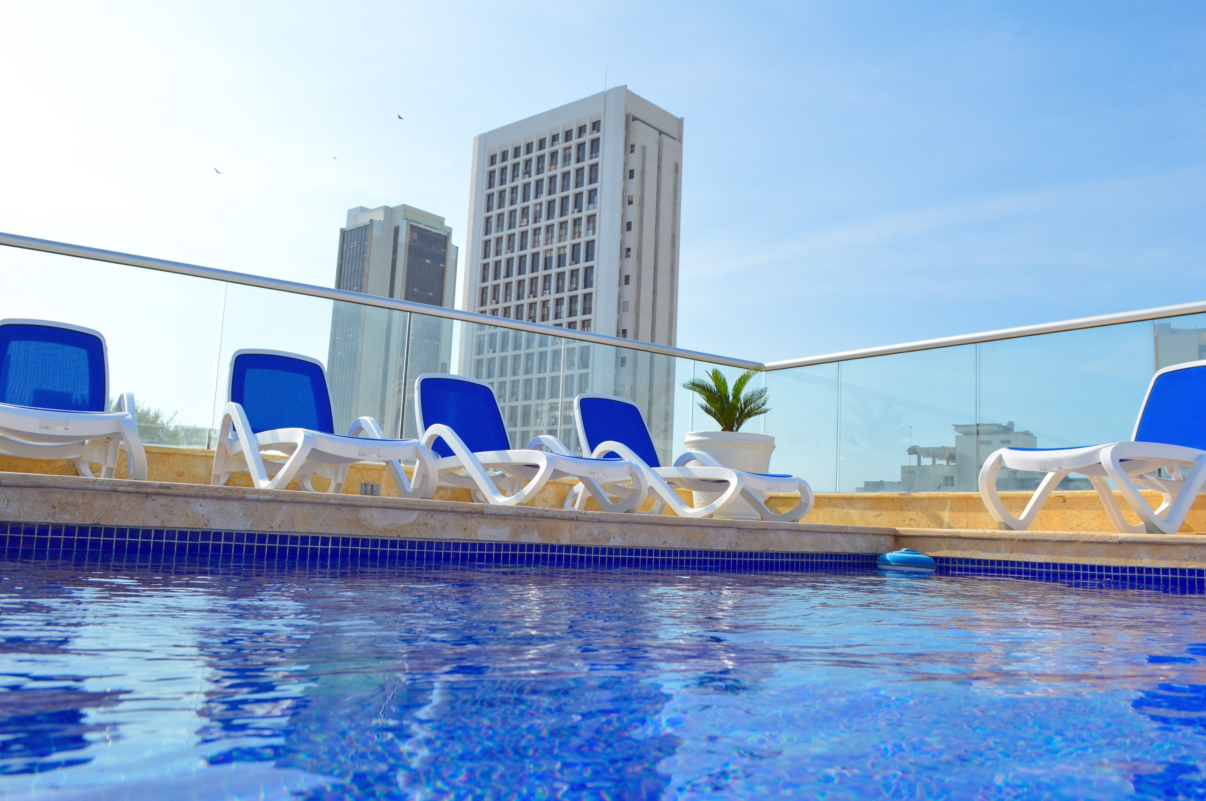 Outdoor pool, sun loungers