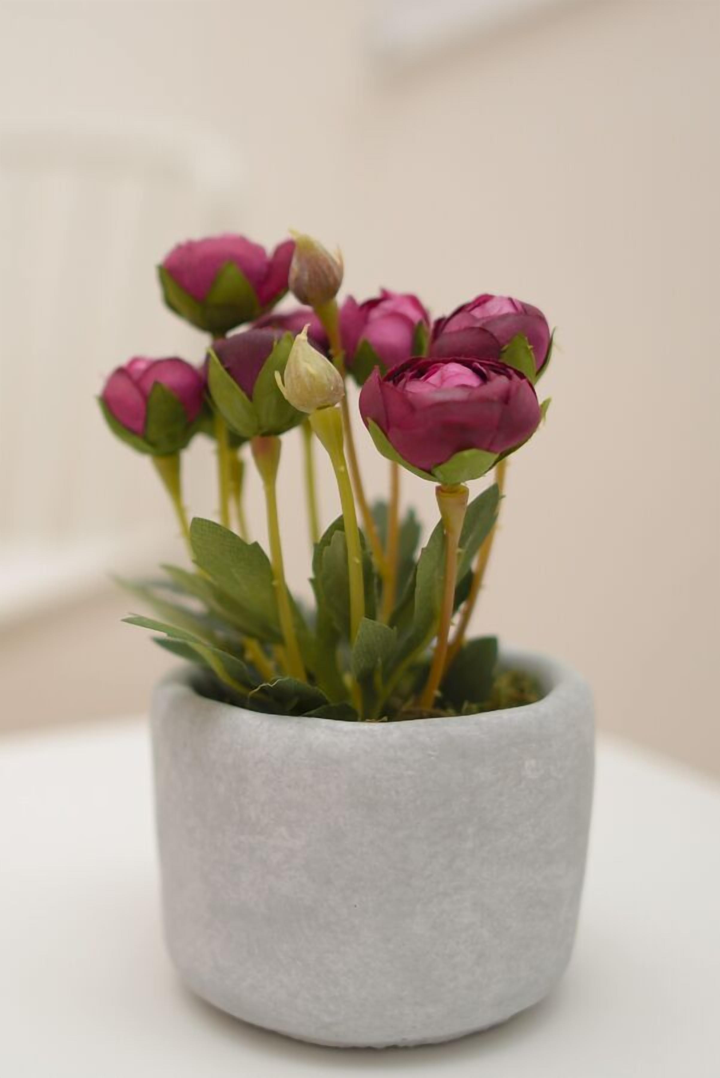 Foto - Hotel Boutique La Artilleria