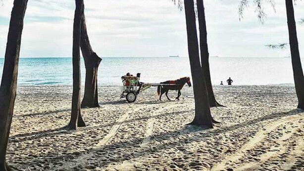 A beach with tall trees, a horse-drawn carriage, and a calm sea. - Puteri Bay Hotel Melaka (Malacca City)