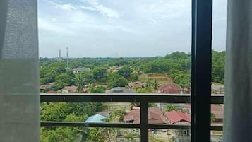 A view through a window with a metal frame, featuring a landscape with greenery, scattered houses, and a distant power line.
