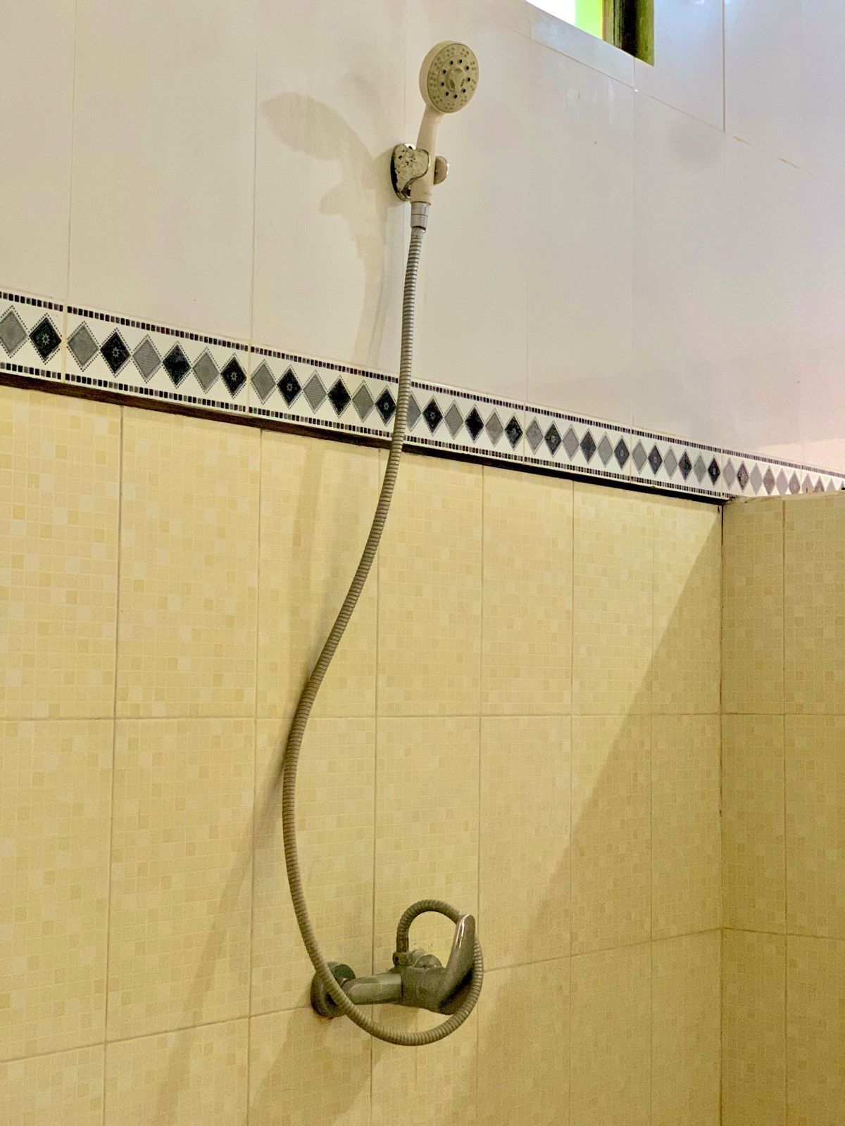 Una dutxa amb un braç de mànega i un rodet fixat a la paret, tot en un bany amb rajola.