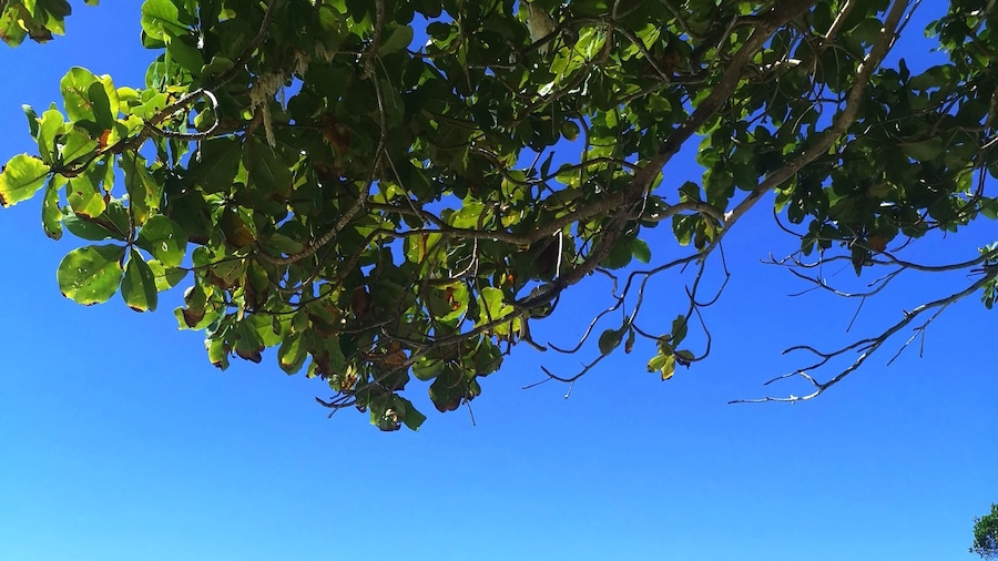 La Pernela Beachfront Resort