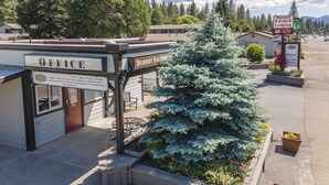 A Burney Falls Lodge with an office, guest services, and a large evergreen tree in the center. - Charm Motel & Suites (Burney)