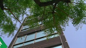 A modern building with multiple floors, large windows, and a visible tree branch overhead. - Aitabi Hostel (Tainan)