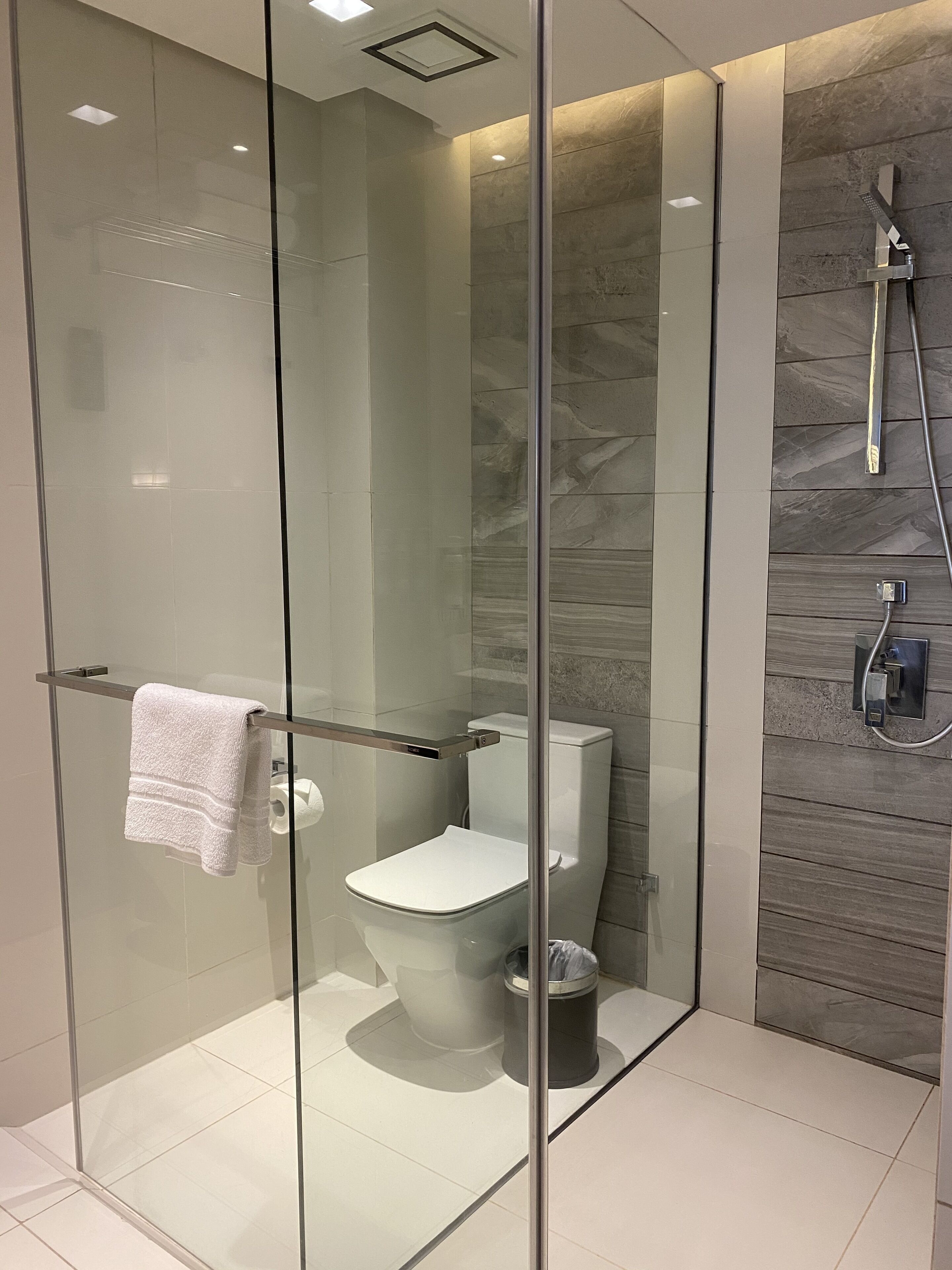 Une salle de bain moderne avec une douche à parois de verre, des toilettes et un porte-serviettes.