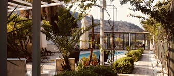 Arp Dalyan
