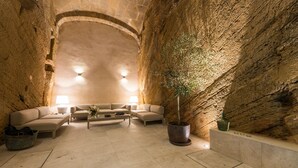 Un interior acogedor con paredes de piedra, un conjunto de sofás, una mesita de centro y una planta en maceta.