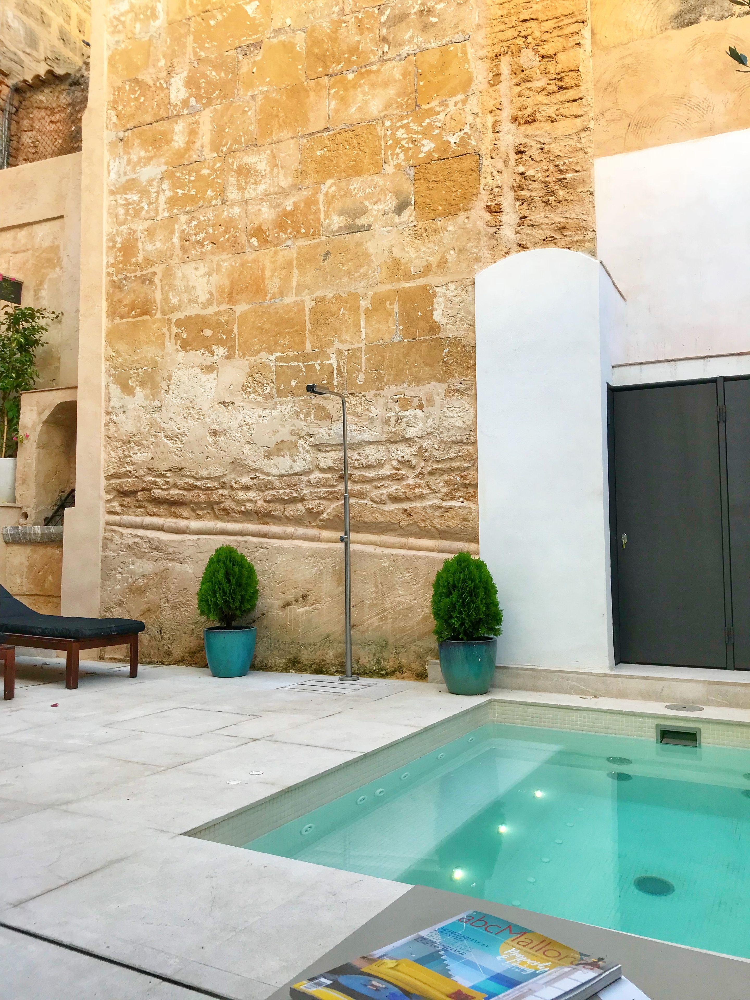 Un área de piscina con un muro de piedra, una silla de descanso y dos plantas en macetas.