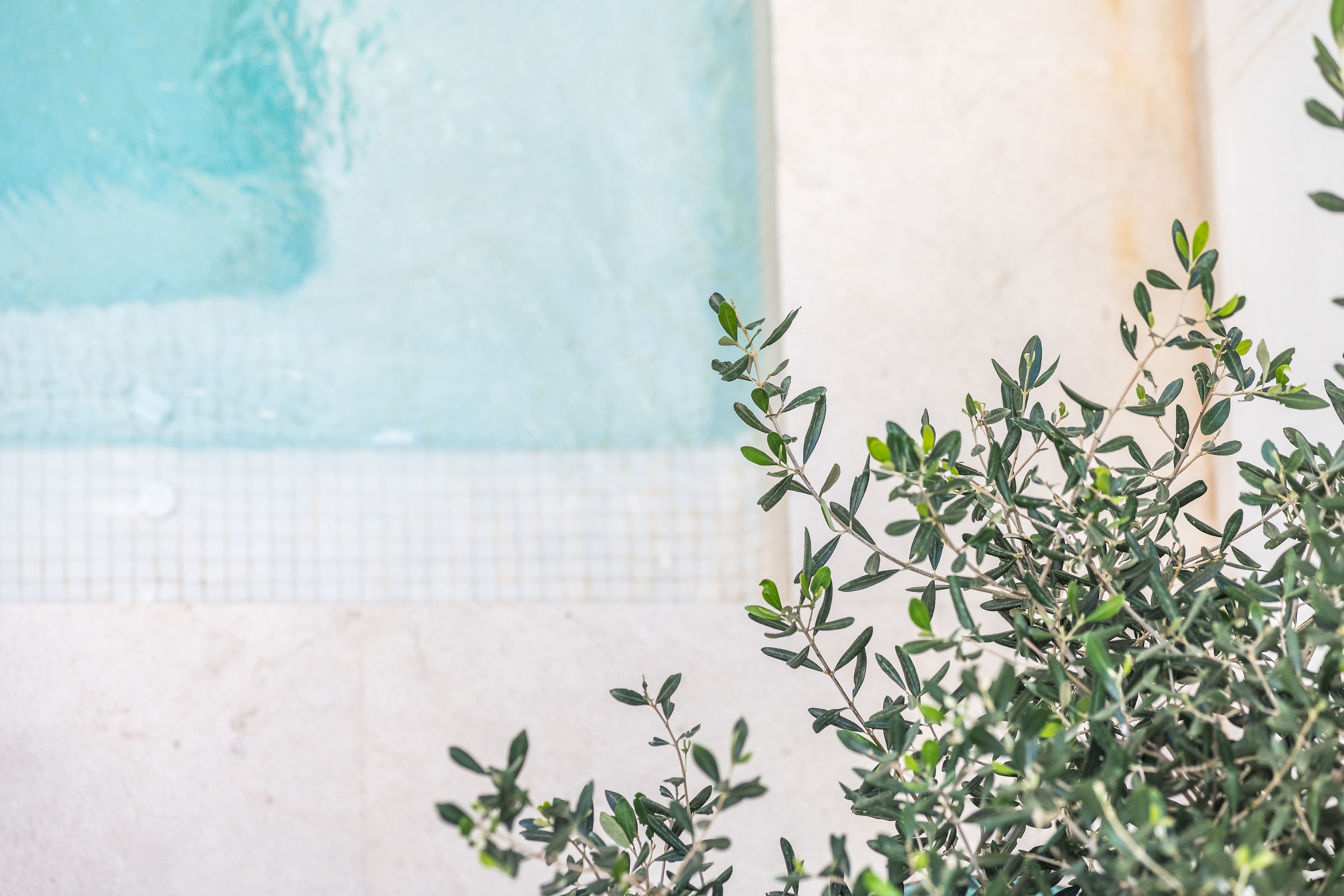 Photo - Bordoy Mostatxins - Hotel Boutique Adults Only