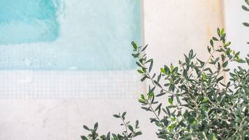 A pool area with a tiled floor and a plant in the foreground.