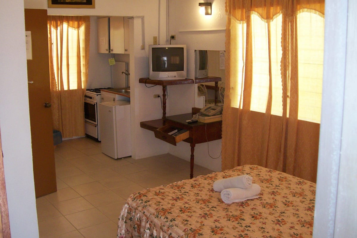 Studio, Kitchenette | Premium bedding, free WiFi