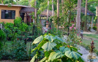 ร้านอาหาร