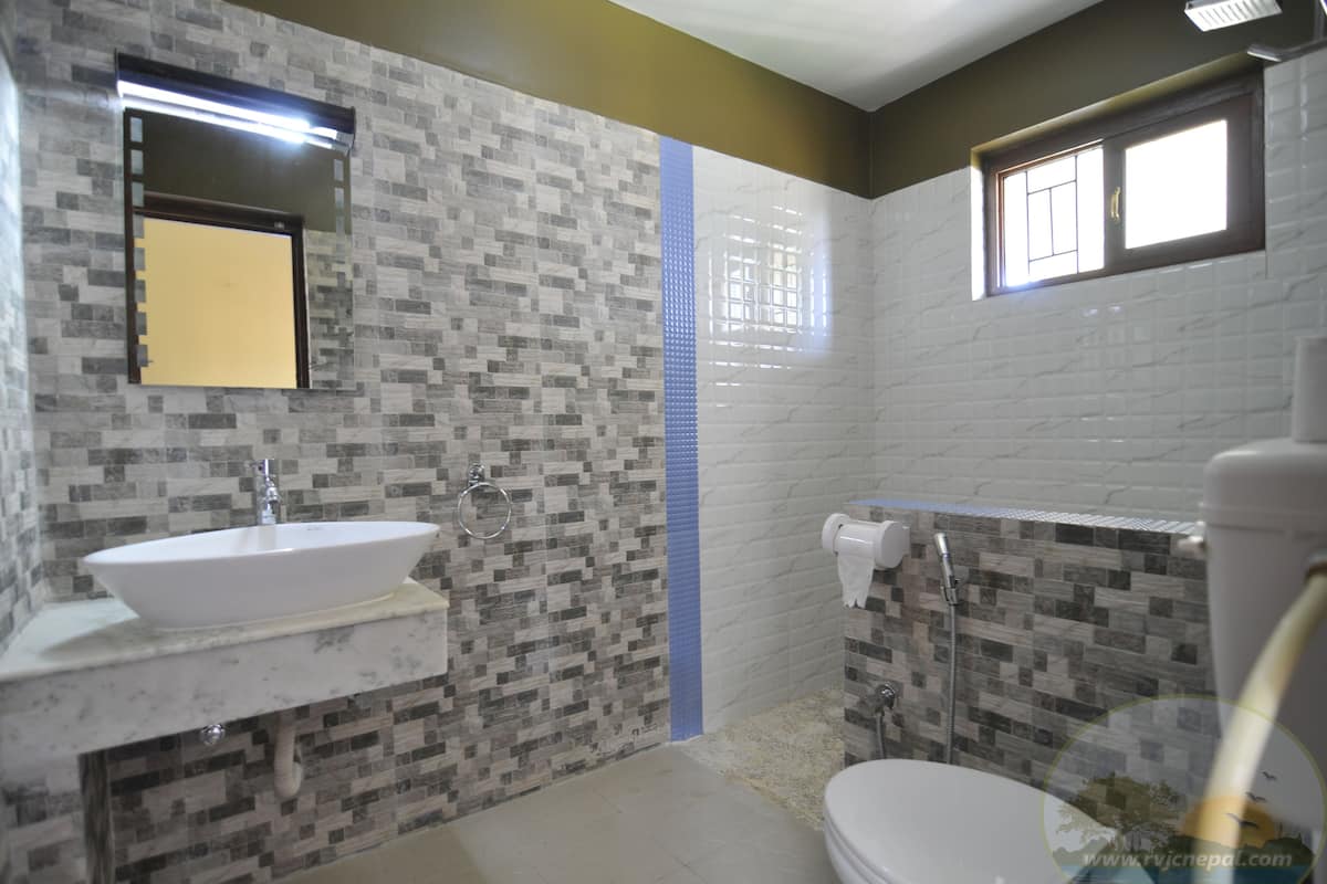 deluxe double room, 1 king bed | bathroom | shower, free toiletries, hair dryer, slippers