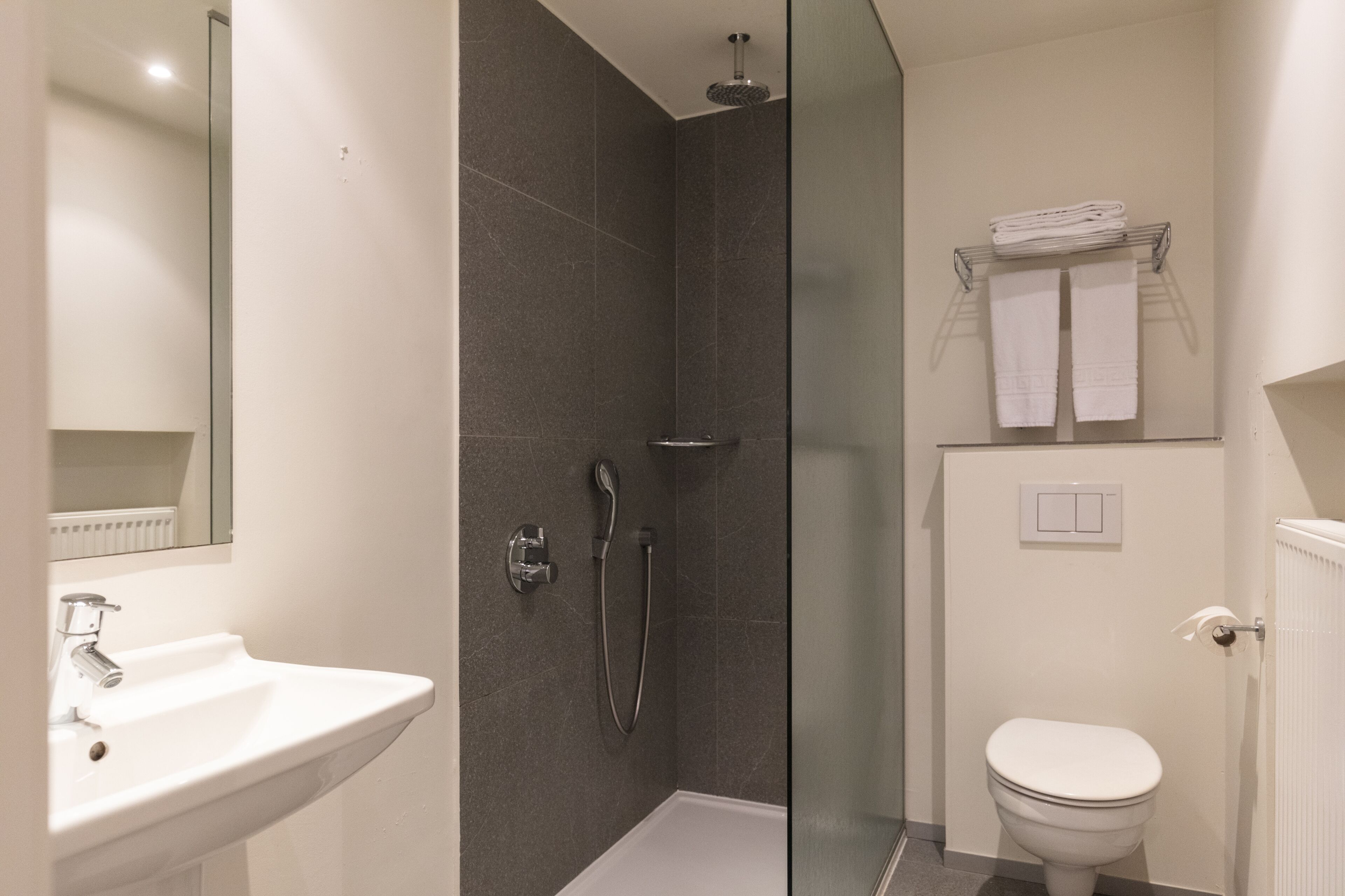 A modern bathroom with a glass-enclosed shower, a white sink, and a toilet.