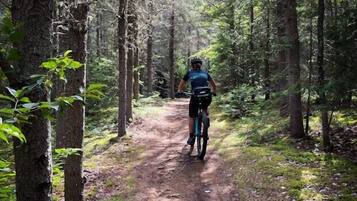 A forest trail with a cyclist.