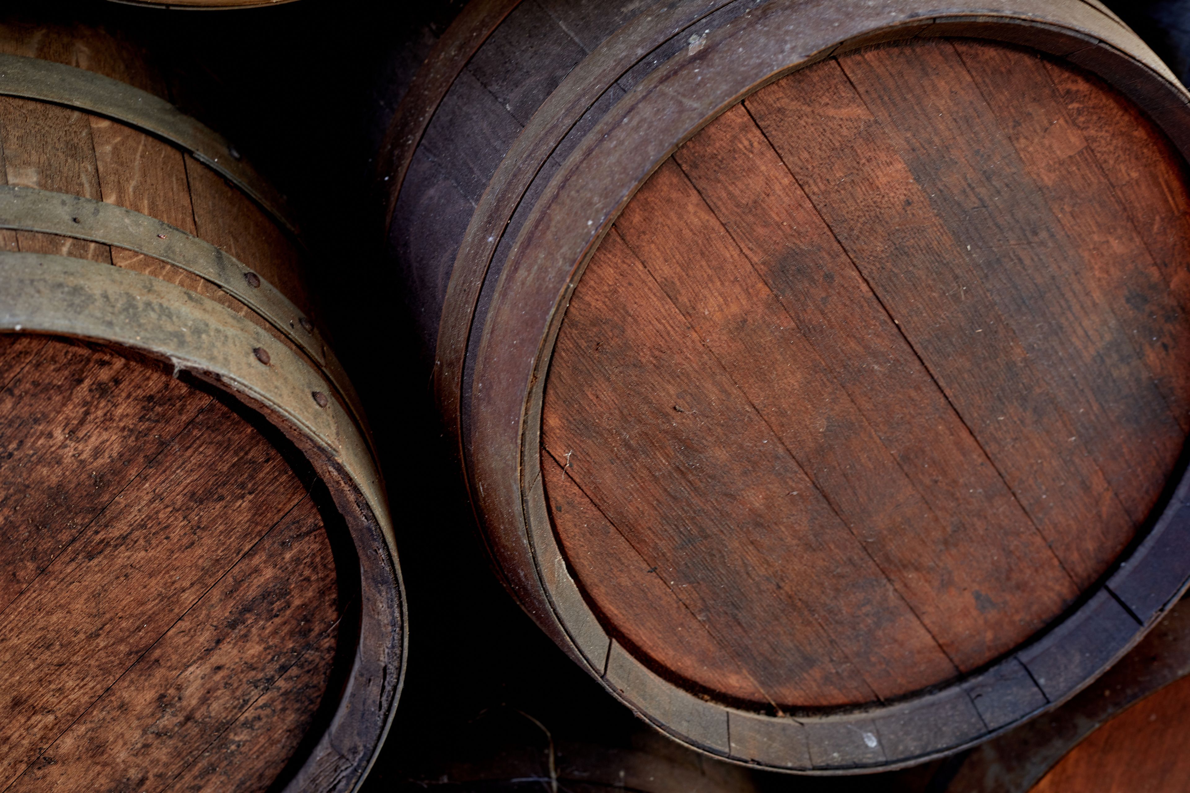 Photo - Agroturismo Sa Vinya des Convent